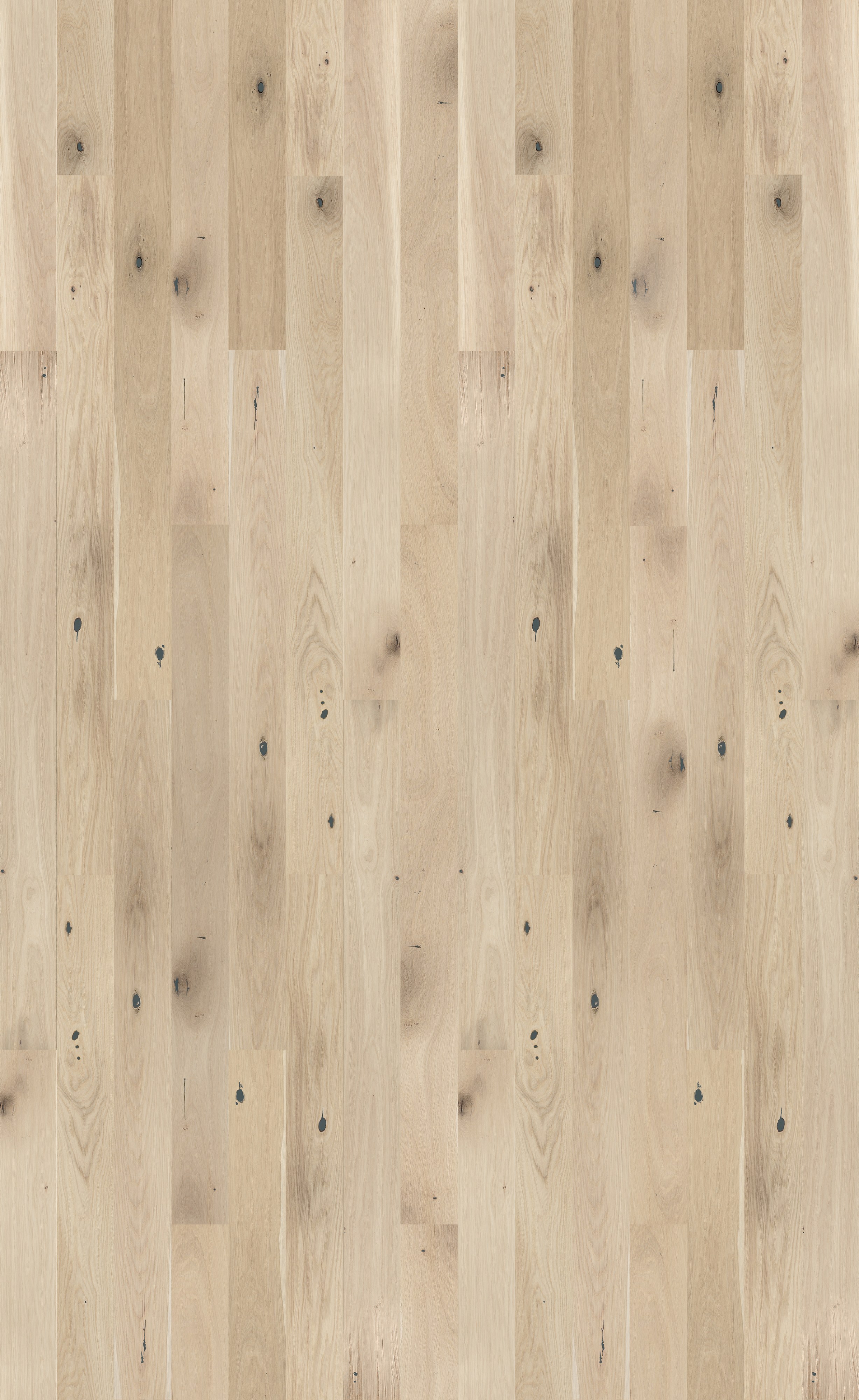 Паркетная доска Barlinek Pure дуб Creme Brulee Grande 2200×180×14